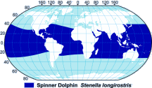 Spinner Dolphin Range Map