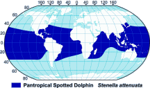Spotted Dolphin Range Map